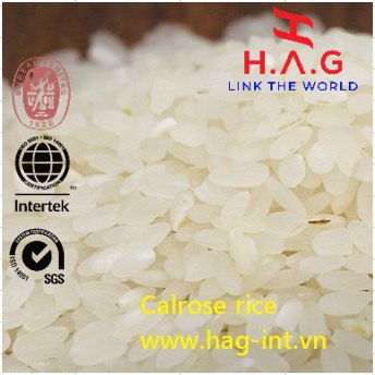 vietnam-calrose-rice